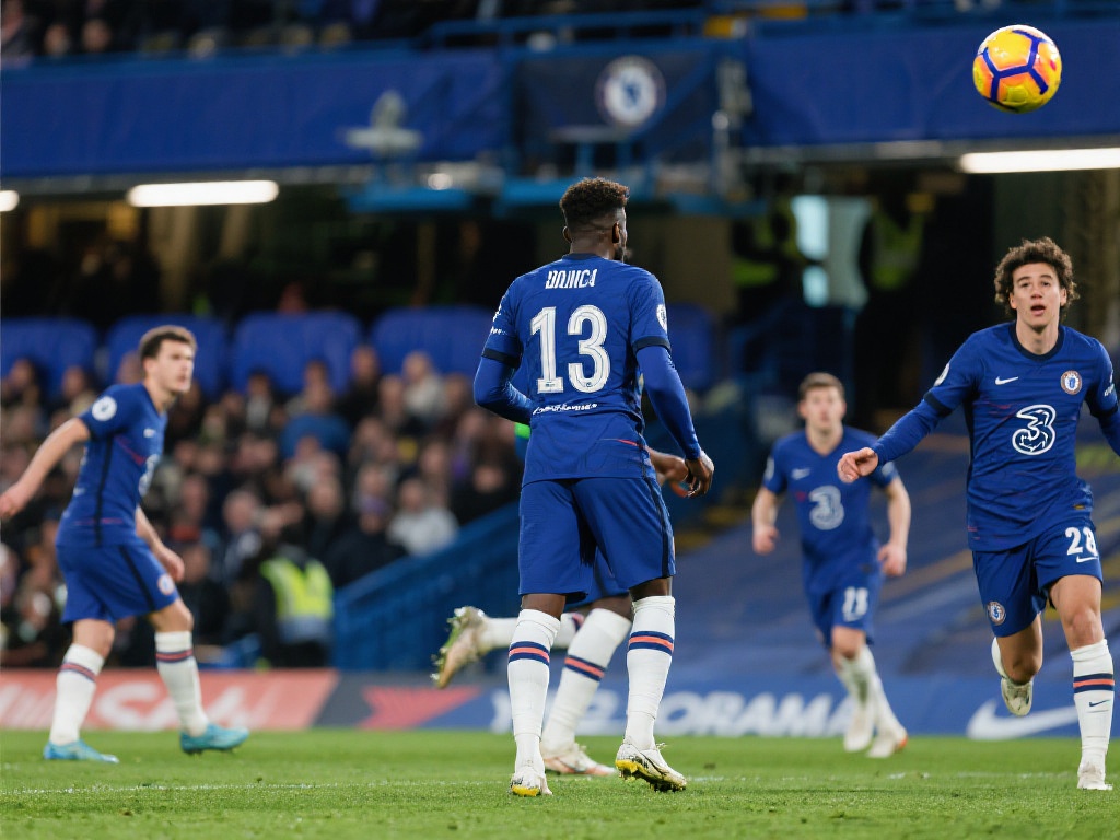 也可能凭借 也可能凭借